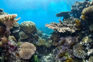 Great Barrier Reef Australia travel destination
